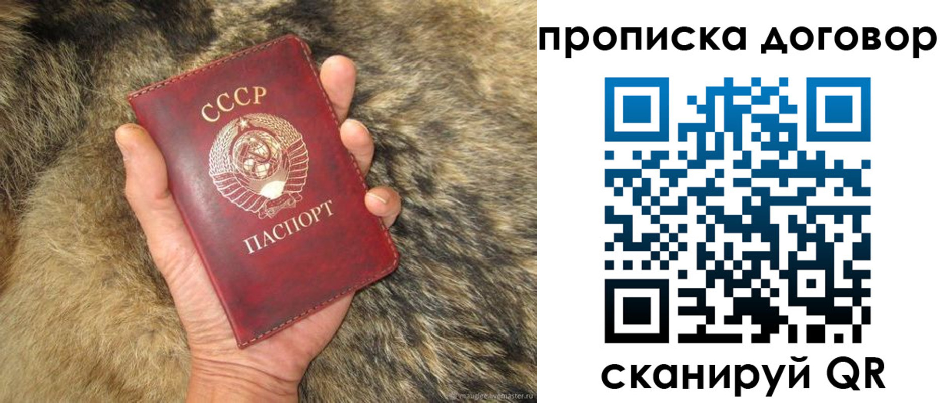 прописка регистрация в Йошкар-Оле